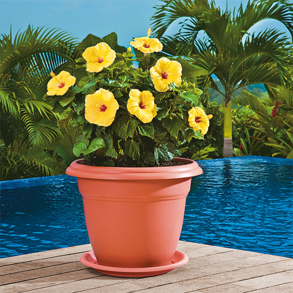 Matera Redonda 60 Cms con Plato Rimax - Imagen 2