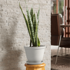 MATERA REDONDA RAFIA 25 CM CON PLATO RIMAX