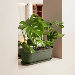 MATERA OVALADA RAFIA 60 CM CON PLATO RIMAX